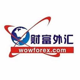 广州财富外汇投资咨询 理性选择与返佣政策下的机遇洞察